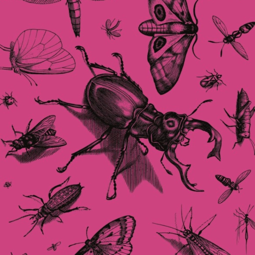 Bug Art Print